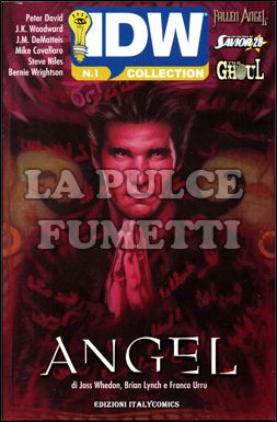 IDW COLLECTION # 1: angel after the fall 1 + fallen angel 6 + the life and times of savior 28 1 + the ghoul 1